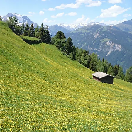 Отель Eckartauerhof