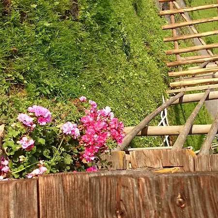 Eckartauerhof ホテル 3*