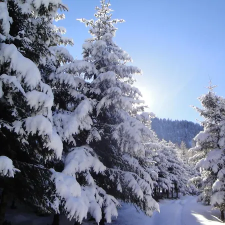 Eckartauerhof Mayrhofen