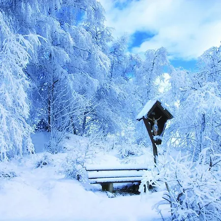 Ξενοδοχείο Eckartauerhof Mayrhofen