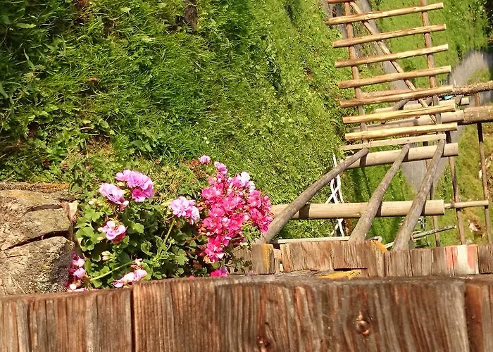 Eckartauerhof Hotel 3*