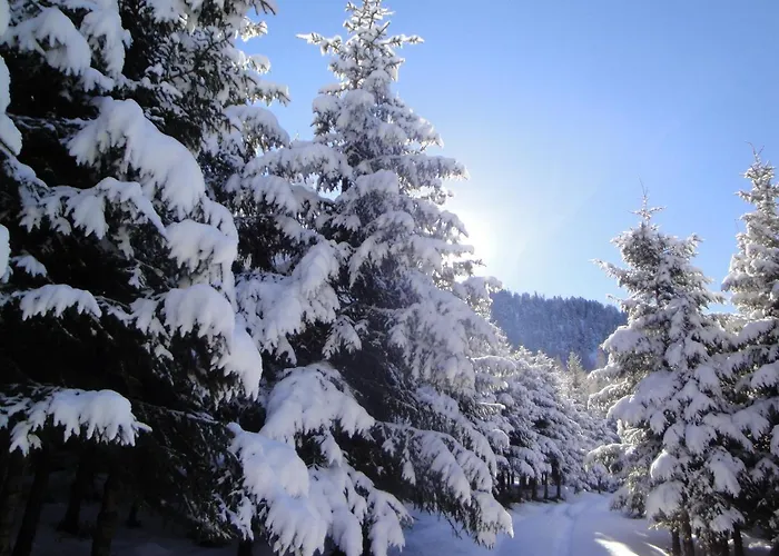 Eckartauerhof Mayrhofen