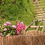Eckartauerhof Otel 3*