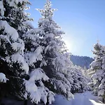 Eckartauerhof Mayrhofen